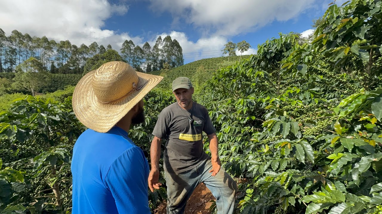 PRODUTOR VIVE EXCLUSIVAMENTE DA PRODUÇÃO DE CAFÉ NO INTERIOR DE MINAS