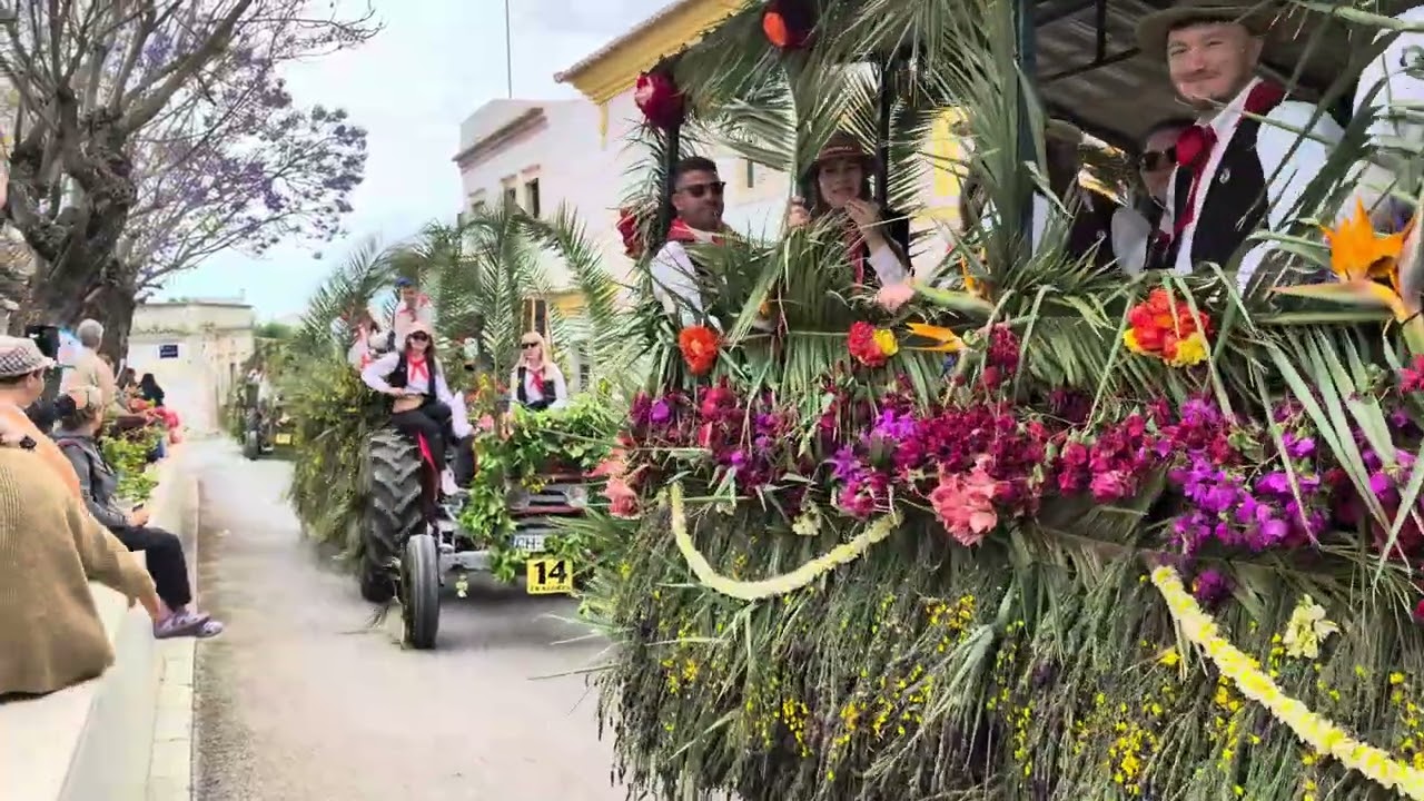Festa da Pinha Estoi 2024. Partida do tradicional cortejo da Pinha para Lude