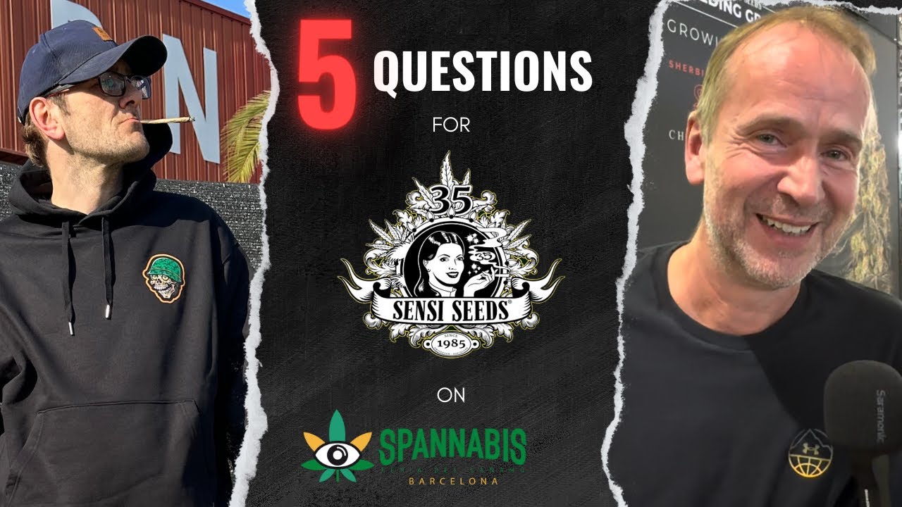 5 QUESTIONS FOR SENSI SEEDS | SPANNABIS BARCELONA 2024