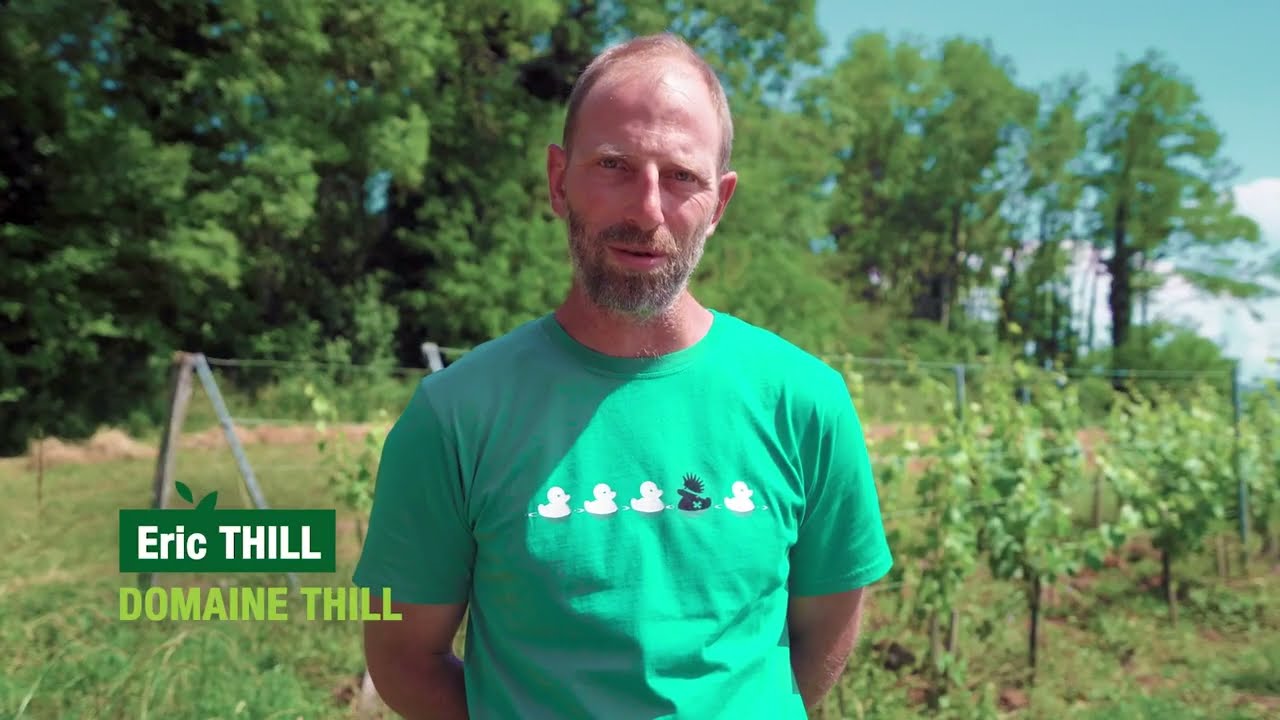 Talents Tech&Bio 2023 - Eric Thill, Domaine Thill