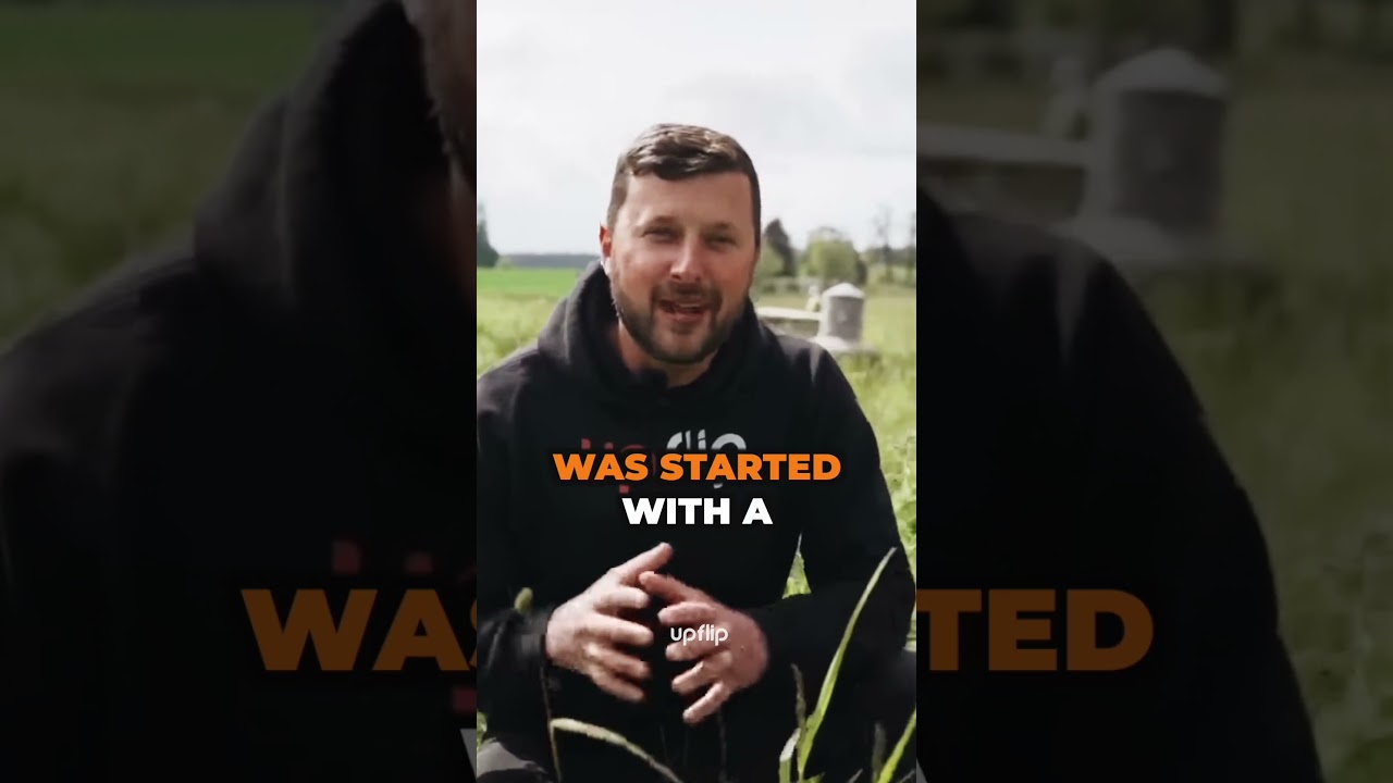 Как начать птицеферму (и заработать миллионы)