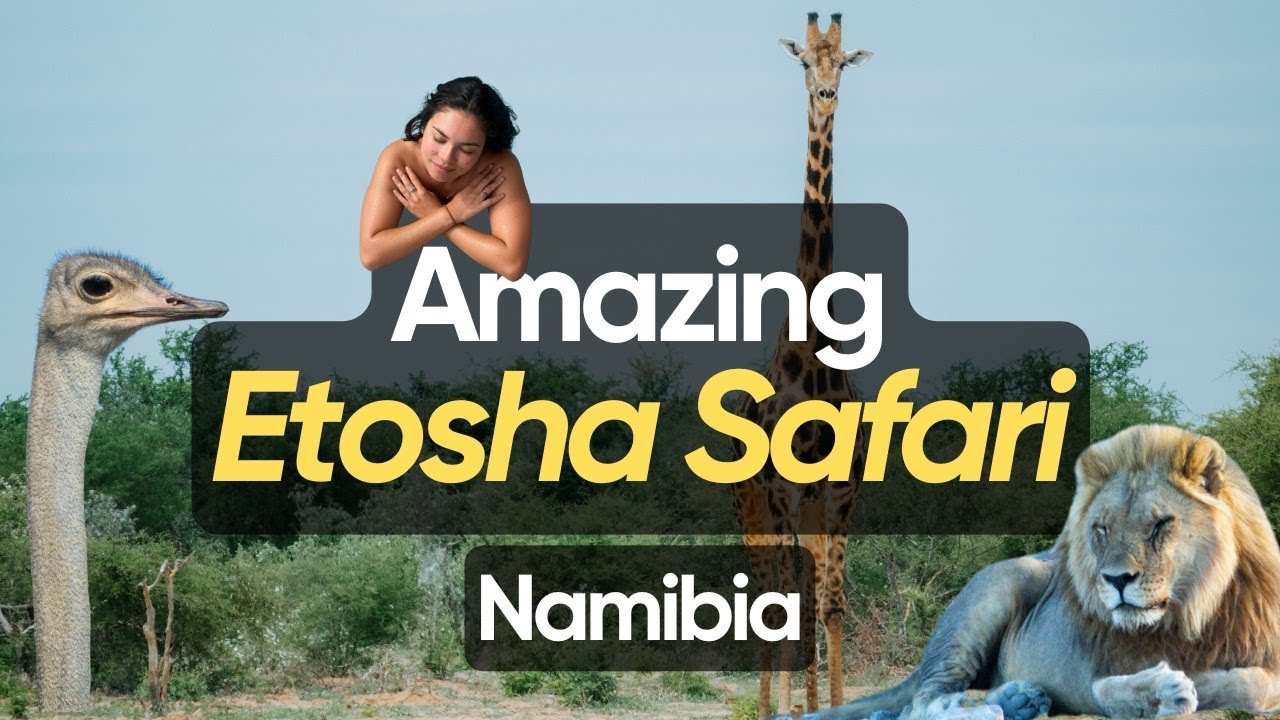 We Went on the Ultimate Self-Drive Safari in Etosha National Park (Namibia Ep. 4)
