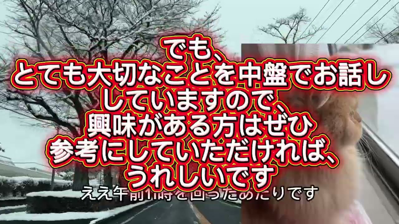 【警告】雪道でブレーキを踏むな⁉️事故を防ぐために今すぐやるべき、たった1つのこと