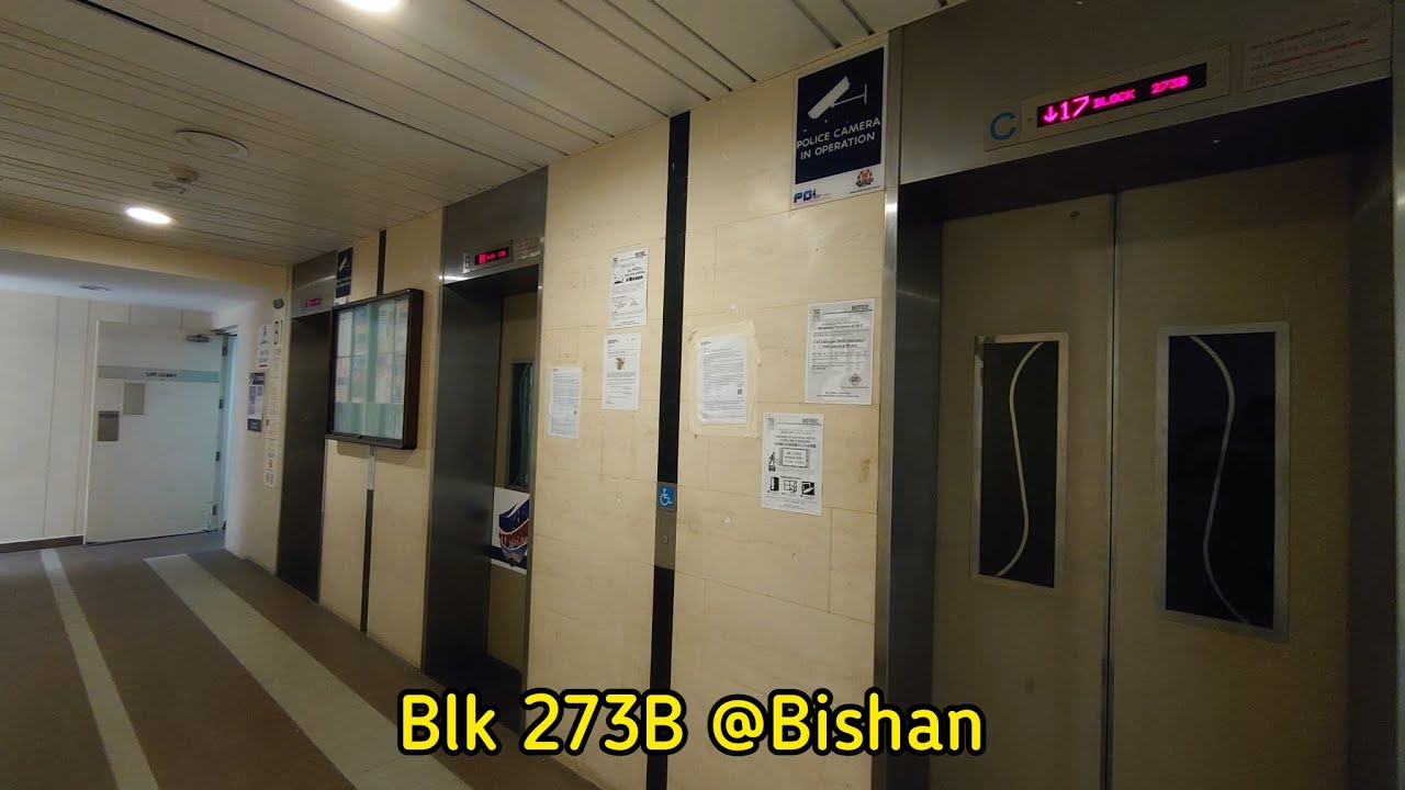 Blk 273B Bishan - 2011 Sigma Elevator [Lift B]