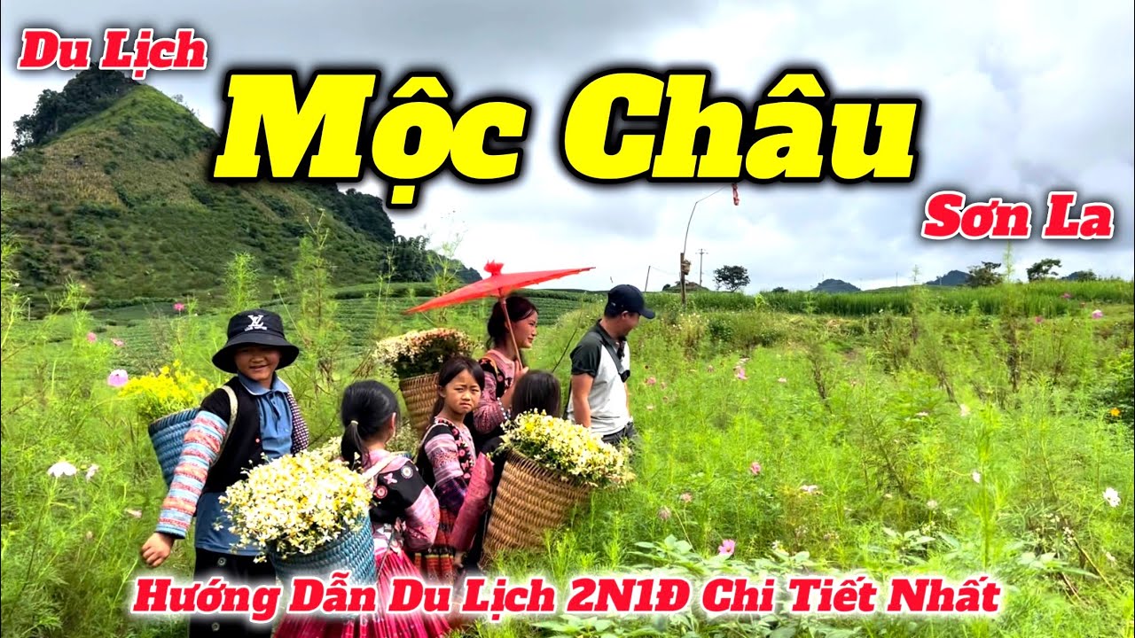 Du Lịch Mộc Châu Sơn La 2N1Đ | Hướng Dẫn Những Điểm Tham Quan Mới Nhất