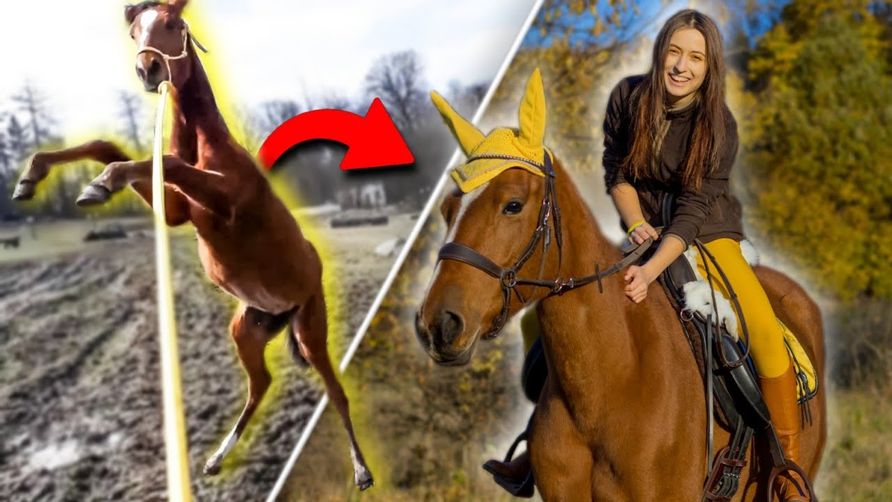 OD ZERA DO PRZYJACIELA - film dokumentalny Wewi i Hakamada