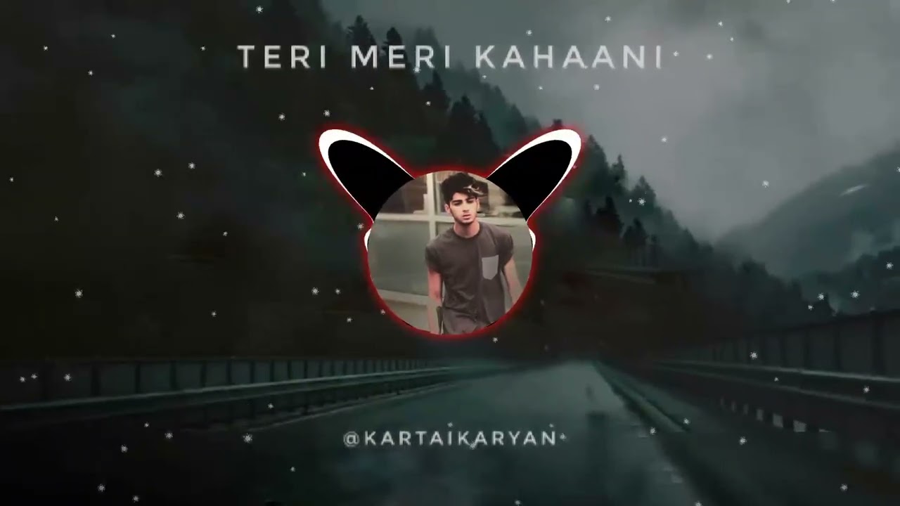 Teri Meri Kahaani - ( slowed + reverb ) | Kartik Aaryan 