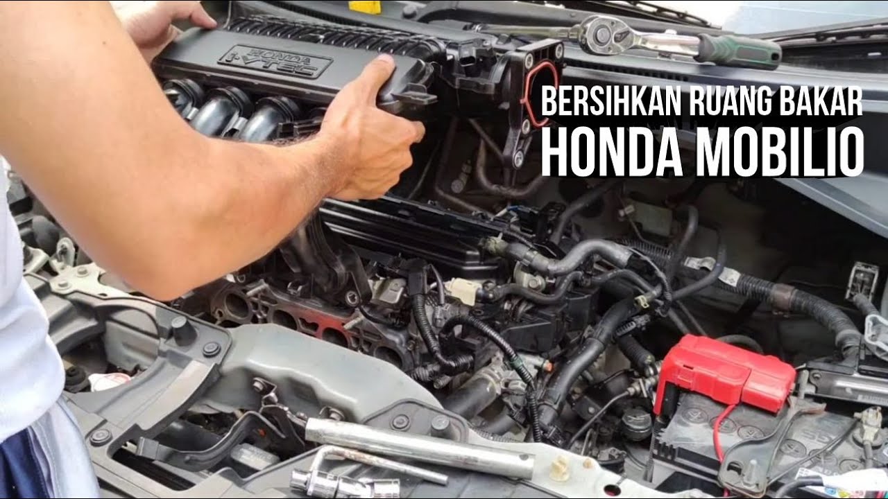 Tutorial Membersihkan Tortle Body dan Intake Mobilio
