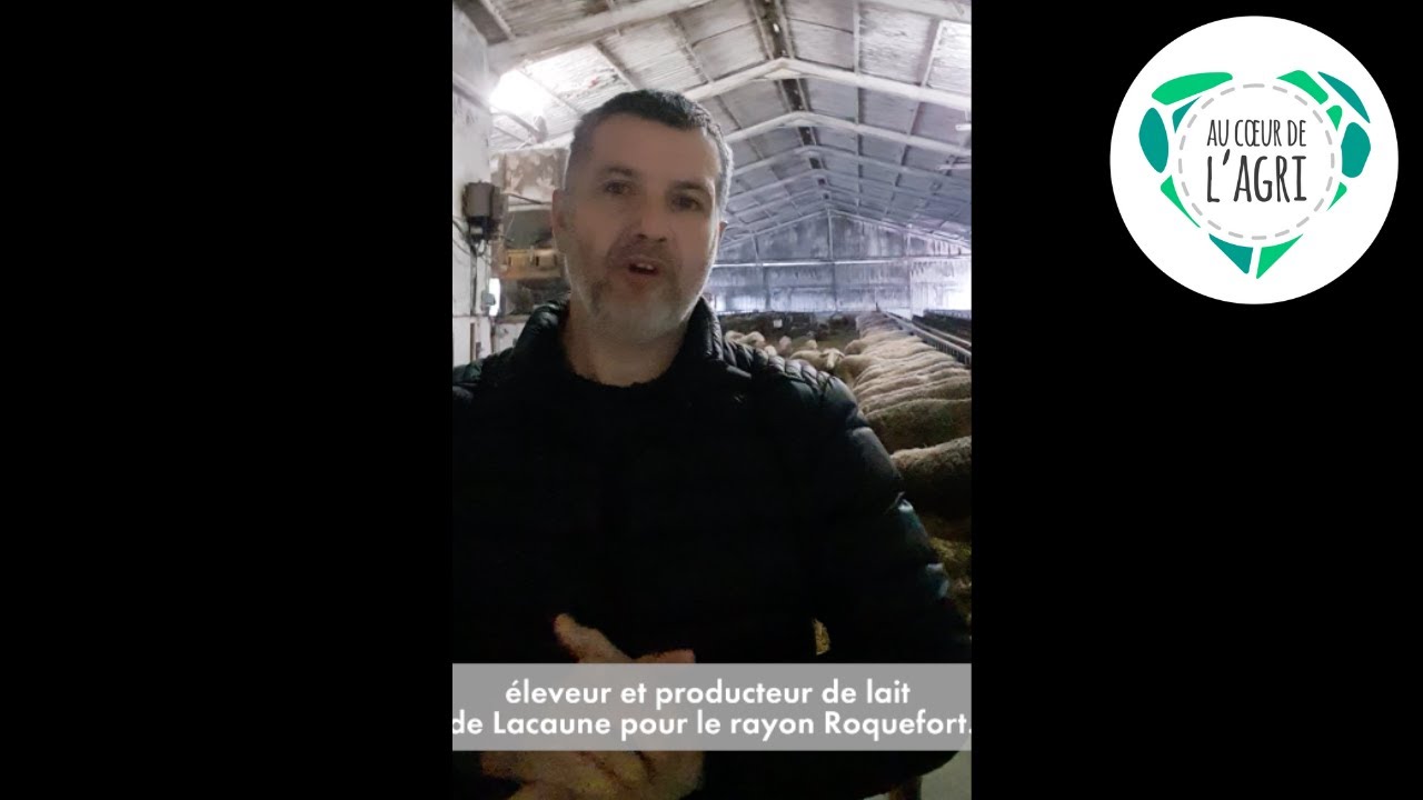 Laurent, éleveur et producteur de lait pour le rayon Roquefort #AuCoeurDelAgri
