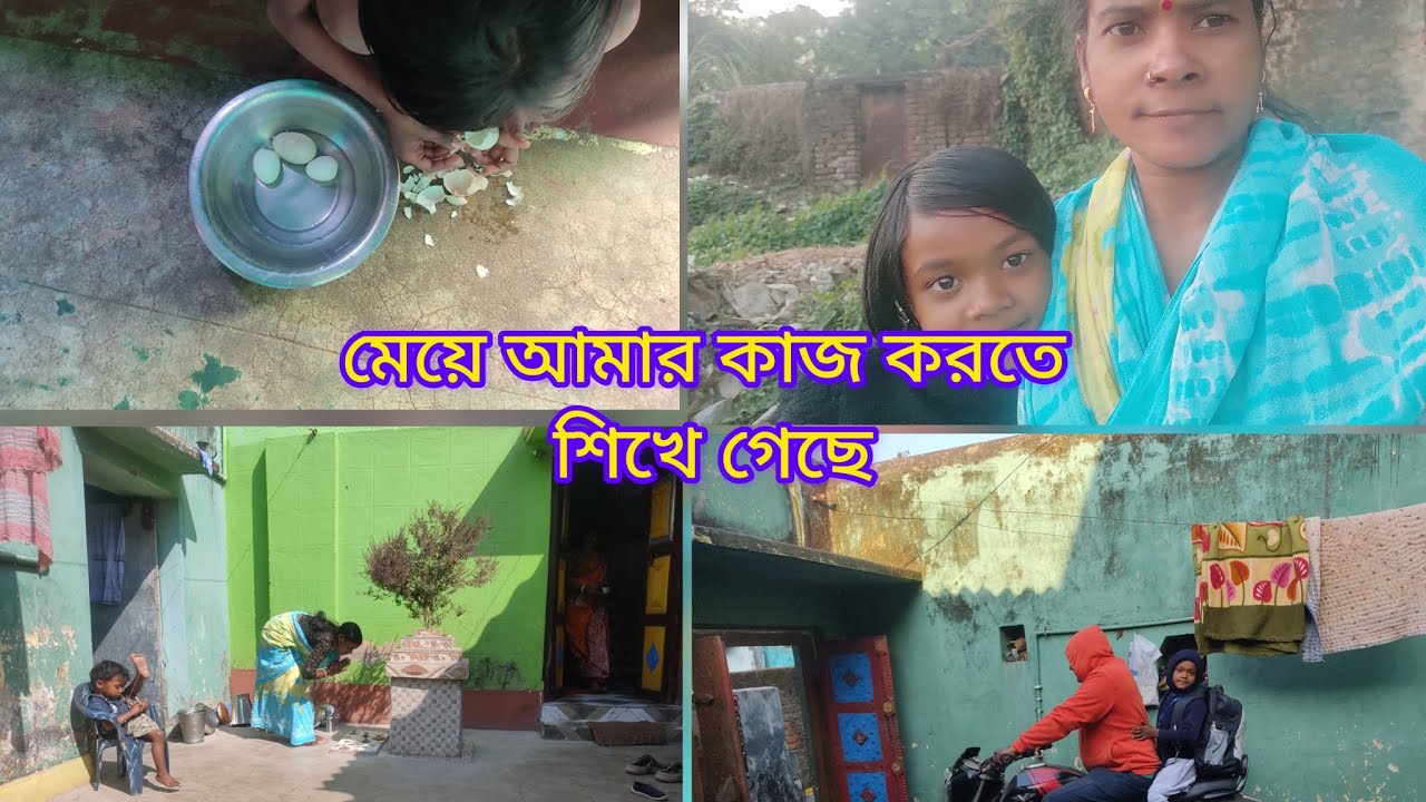 🦆হাসগুলোকে ডেকেও ঘরে আনতে পারলাম না 🏡#shorts #ytshorts #viral #trending #dailyvlog #bengalivlog 🌿