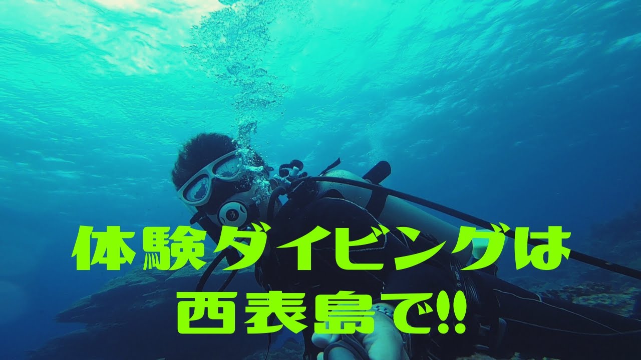 西表島で体験ダイビング !!   第332話 グッドダイブ GOODDIVE