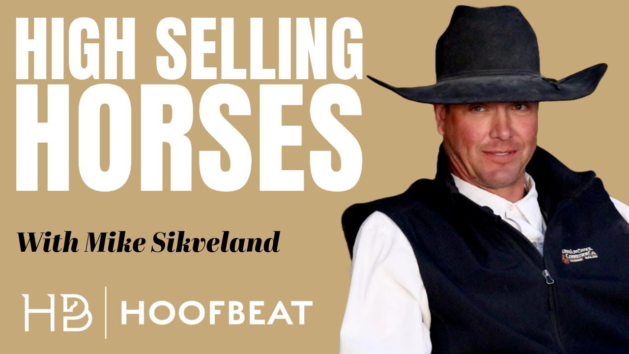 Producing High Selling Horses - Mike Sikveland