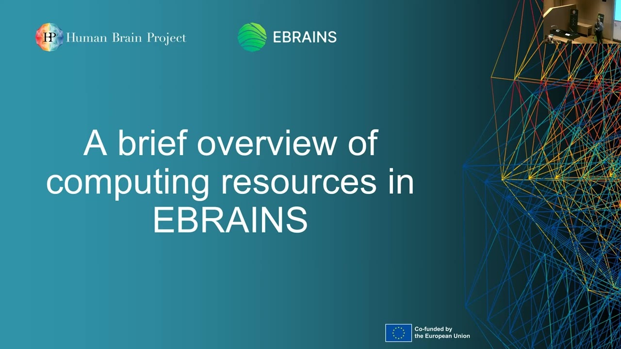 Andrew Davison - Computational neuroscience with EBRAINS