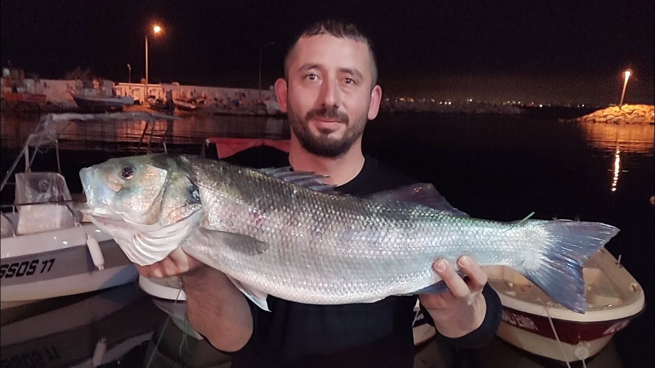 Levrek , seabass avında kullanılan silikon yemler #seabass #levrek #keşfet #seafishing #shorts