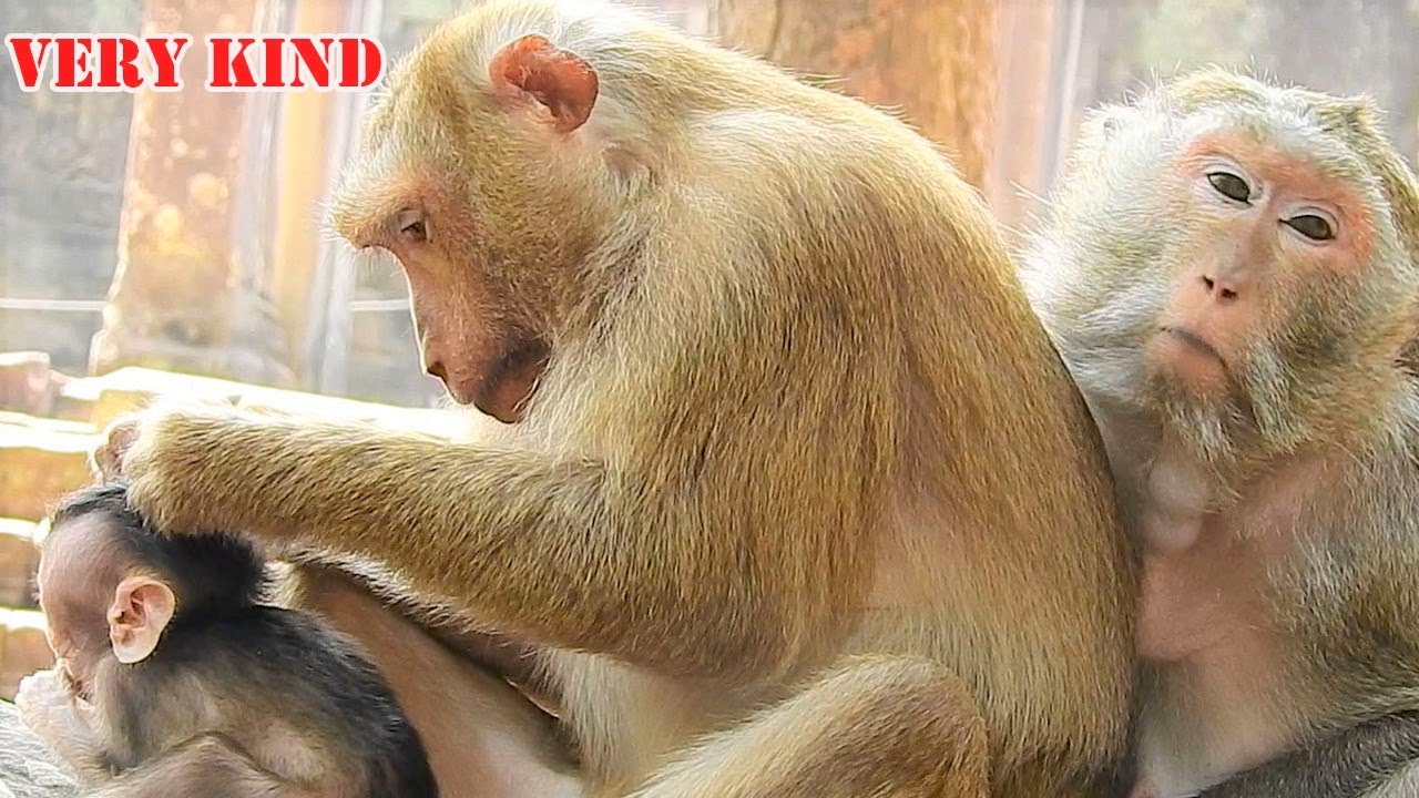 So Kind Bonita Nurse & Take Care Of Cute Baby Bavin|Mom Blacky Feels Happy To See That