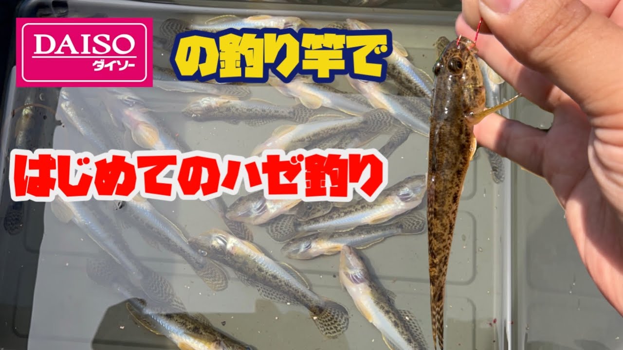 【ダイソーの釣り道具だけで】釣り初心者ジムニー乗りがDAISO1000円の釣り竿で初めてのハゼ釣りに挑戦！！【魚は釣れるのか？】　    @yokoicamp 