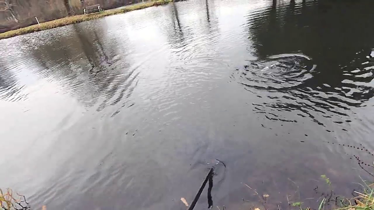 Ultra Light Angeln auf Forelle mit Probaits Ködern im Test und die Auslosung des Gewinnspiel