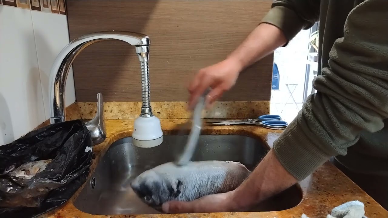 Cómo limpiar un jargo/How to clean white seabream.