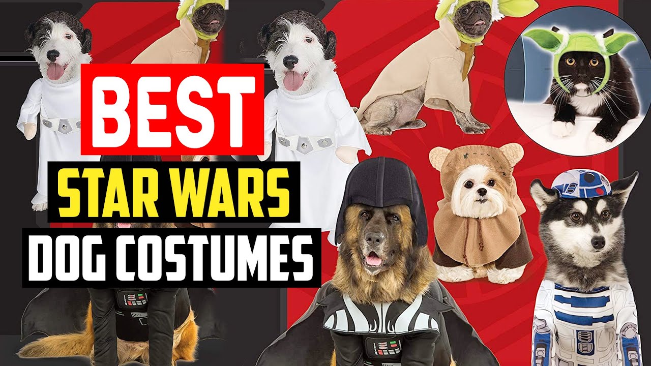 Top 5 Best Star Wars Dog Costumes Review in 2025