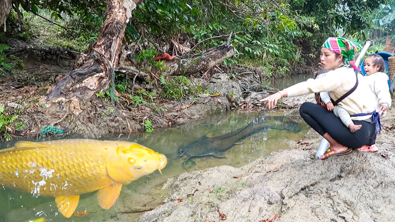Catching a Giant School of Huge Carp by Hand in the River, Bring them in the Market to Sell