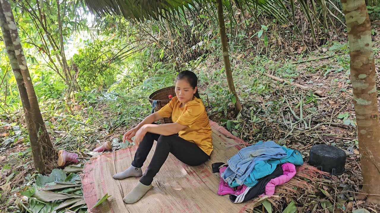 The girl earns money from red fruit and buys instant noodles. Hoang Tieu Van