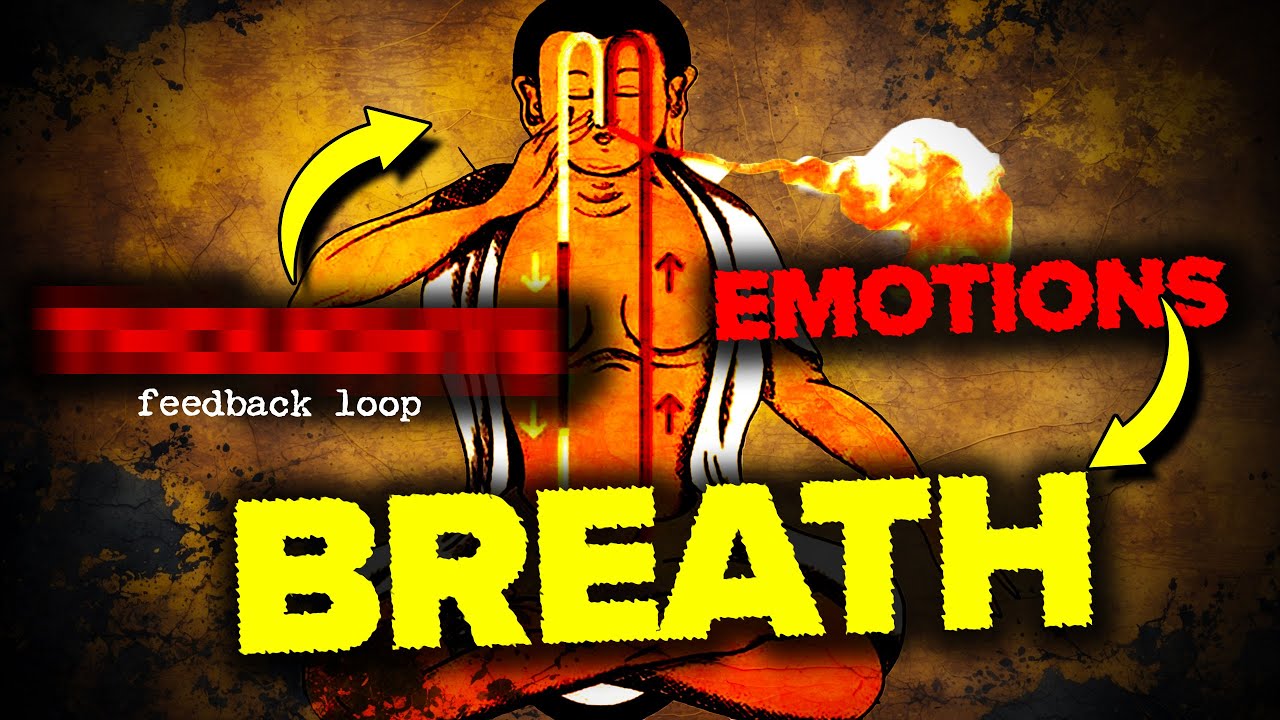 This is How Emotions & Breath, Create Your Reality..