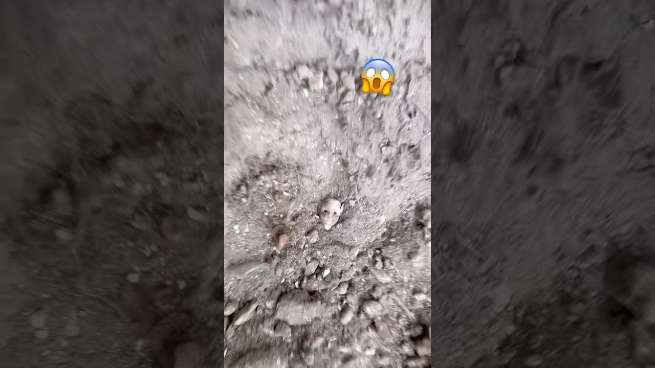 Is This Spooky to You?