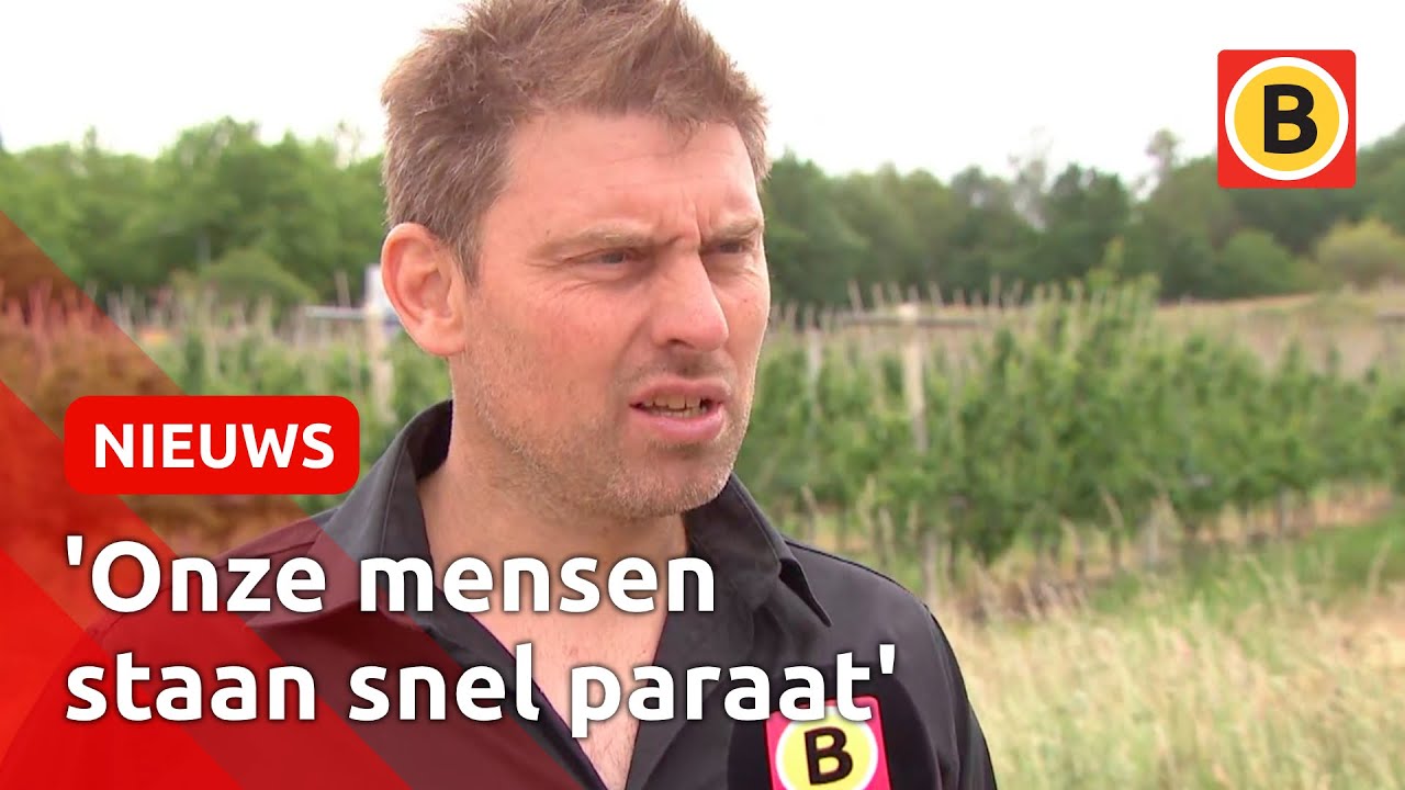 Farmers Defence Force waarschuwt nertsenhouders voor actievoerders | Omroep Brabant