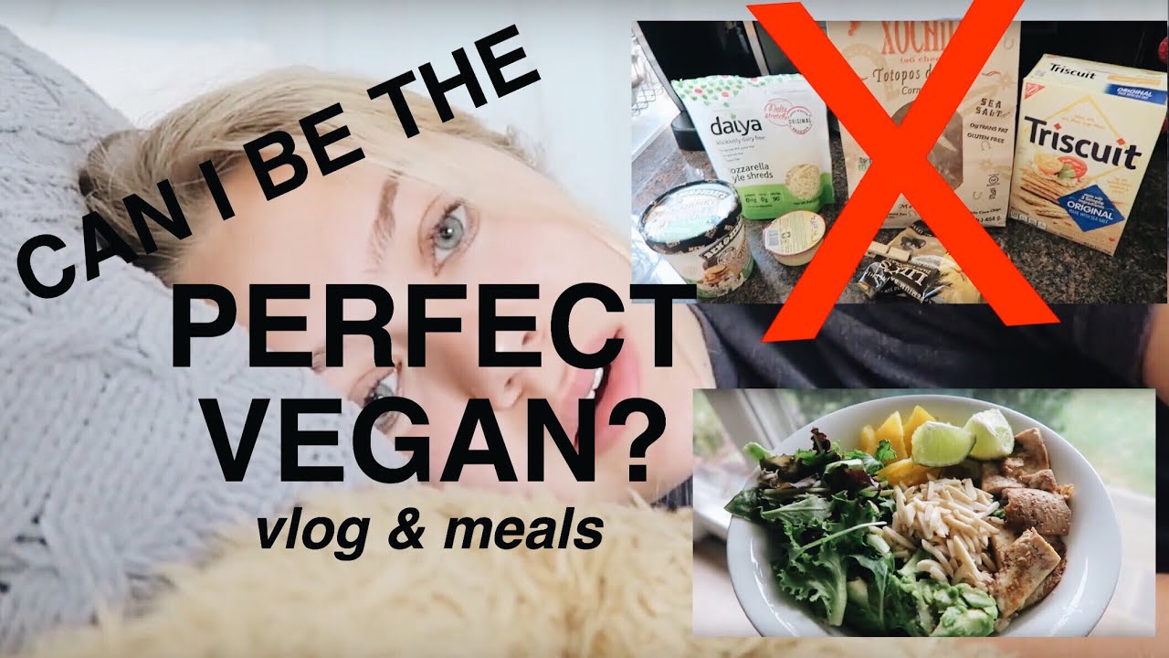 CAN I BE THE PERFECT VEGAN?