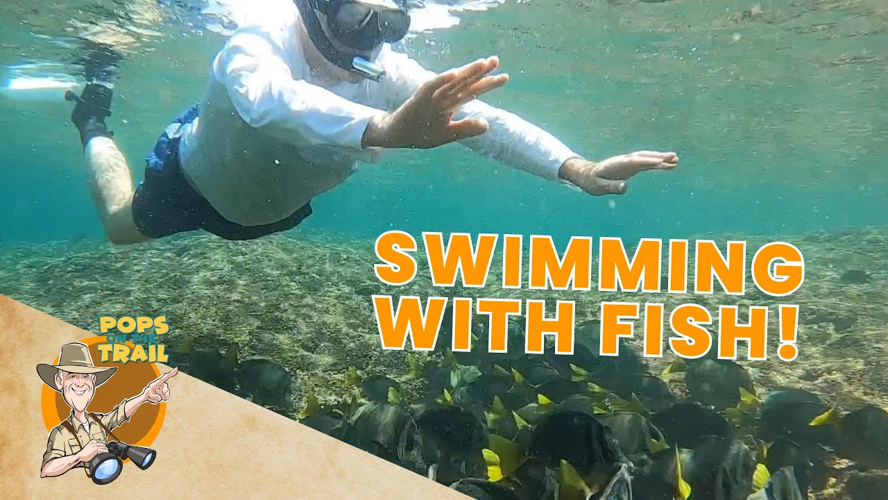 Pops on the Trail in Mexico | Swimming with Fish | Educational Video For Kids
