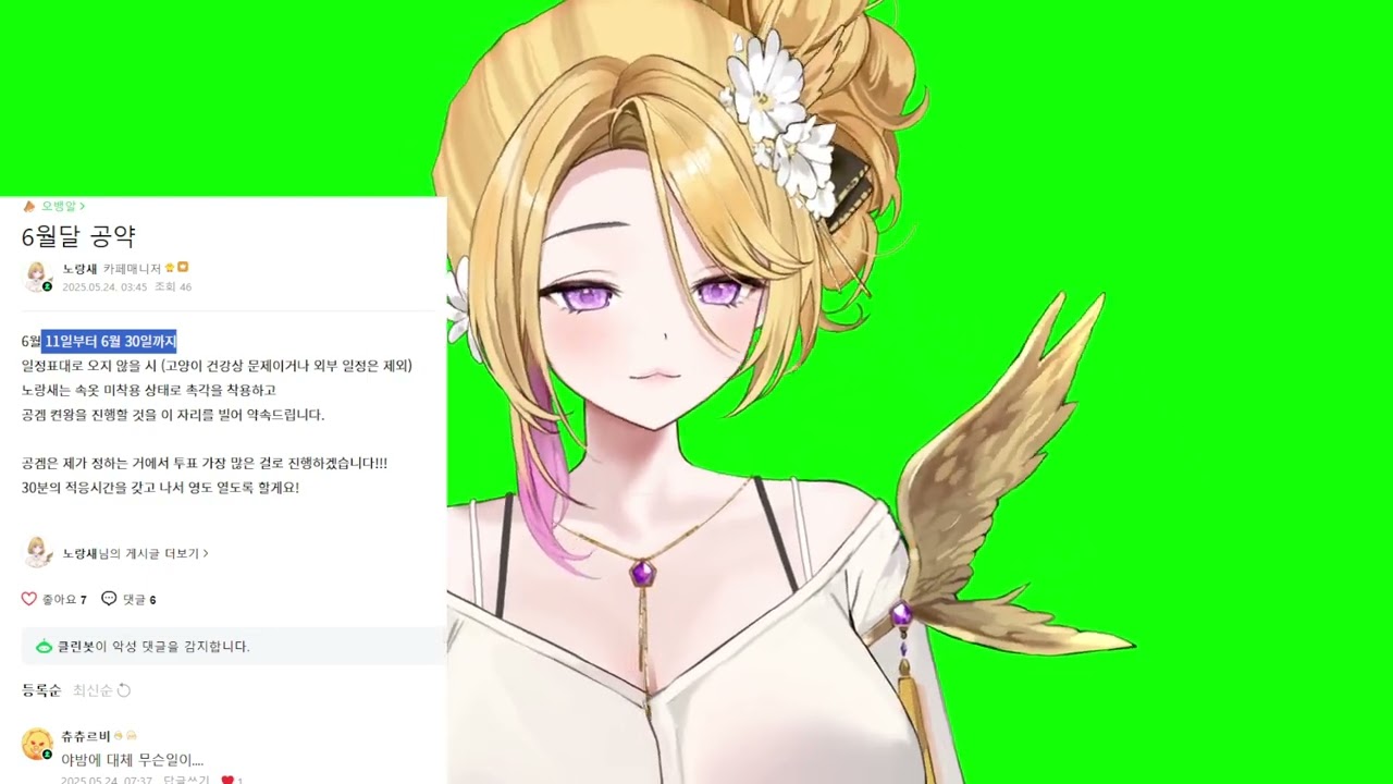 [노랑새 풀영상] 25.06.10 콩밥 레드상화 스토리 정주행