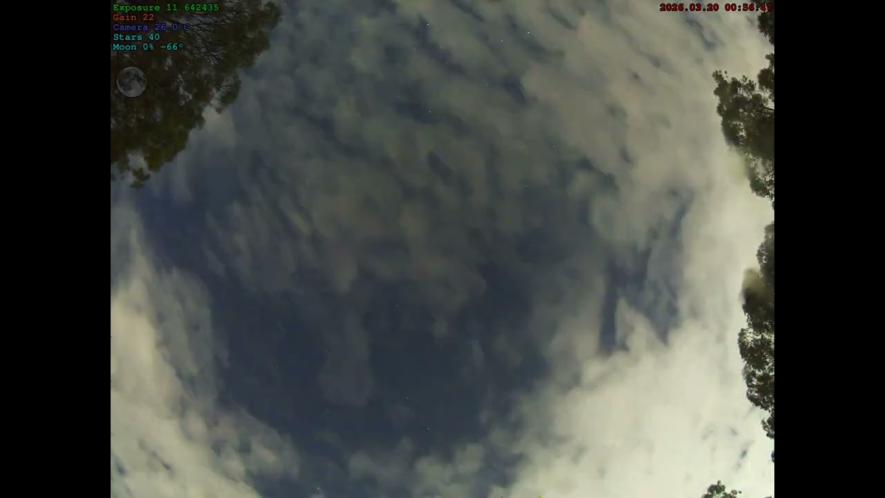 Allsky Timelapse - 2026-03-19 - Night