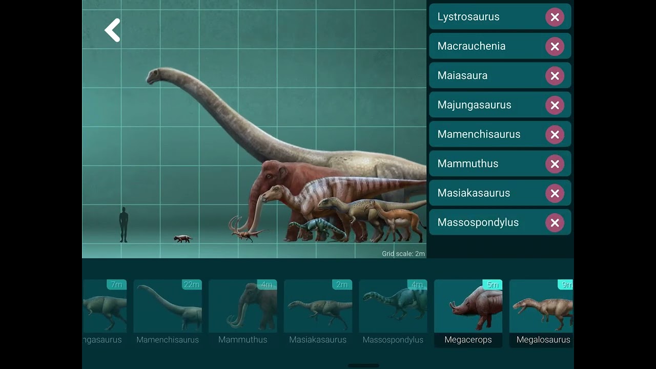Dino master size comparator