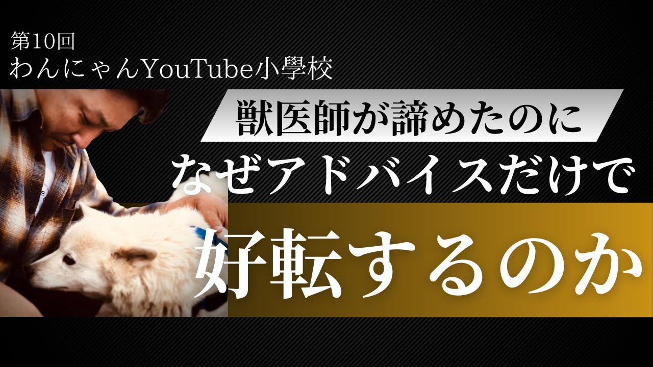【患部より原因】何を観るか。何を感じるか。