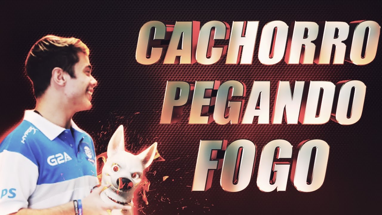 CACHORRO PEGANDO FOGO! ‹ STREAM #08 ›