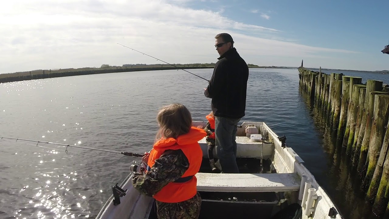 Sildefiskeri Randers Fjord 5 maj 2018 - Fangdinmad.dk