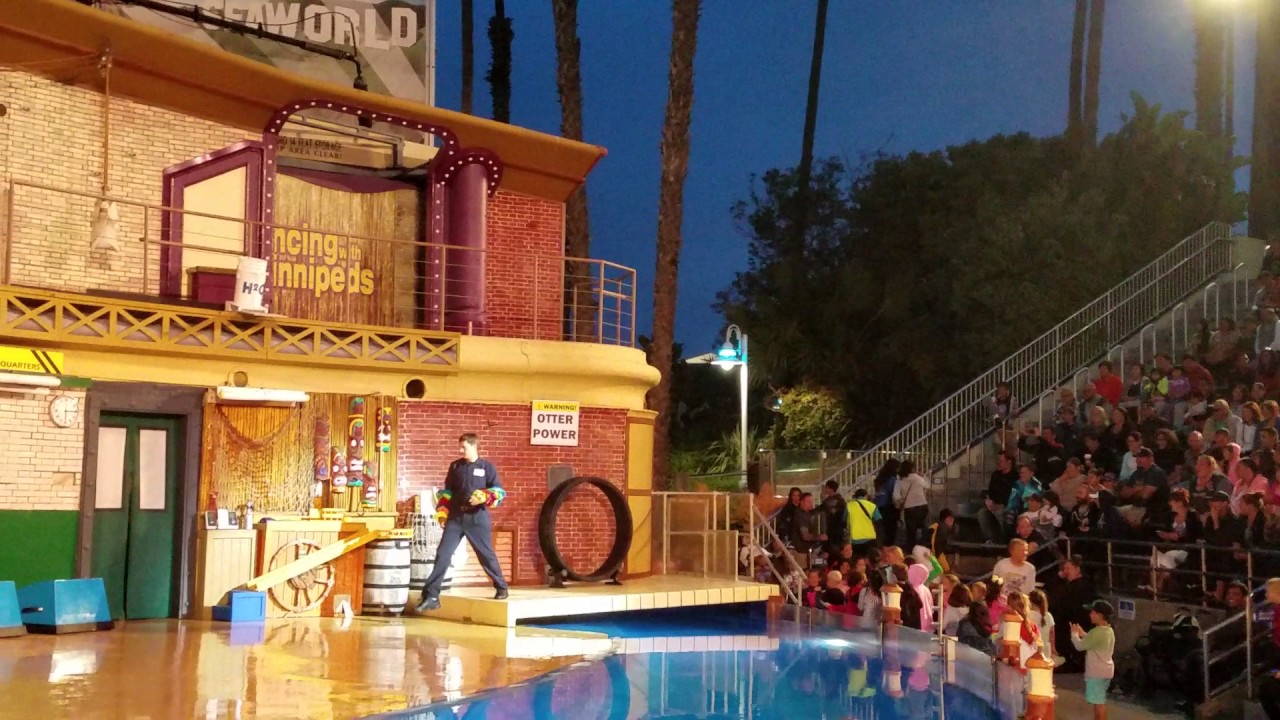 Sea Lion Tonite Pre-Show 2017 (Sea World San Diego)