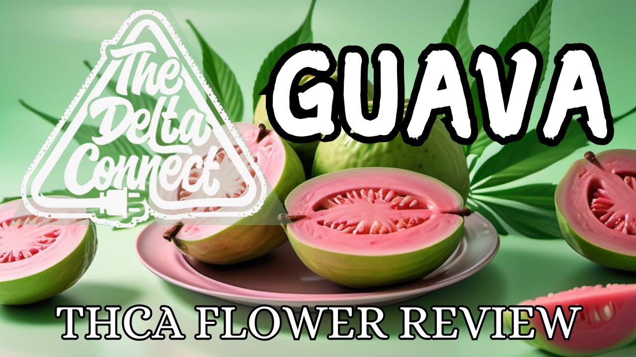 The Delta Connect Guava THCA Flower Review