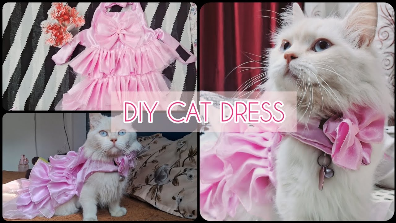 DIY Cat Dress at Home - Fun & Easy Step-by-Step Tutorial..Cutting and stitching@Snowlife1626