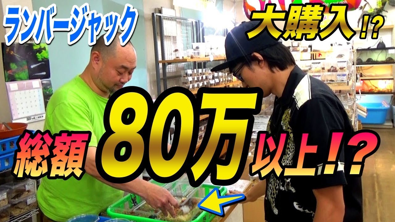 関東最大の昆虫ショップで◯◯万円の高額難関種を購入しました