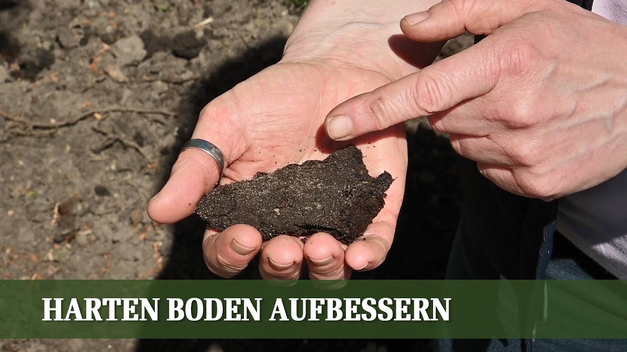 Boden Beurteilung - Wie man den Boden richtig beurteilt und aufbessert