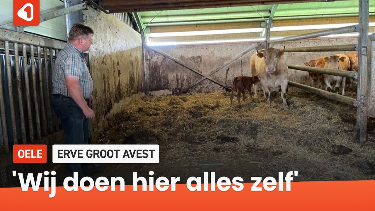 Biodiversiteit van stal tot kasteel: Oeler kringloopboeren Remco en Miranda doen alles zelf