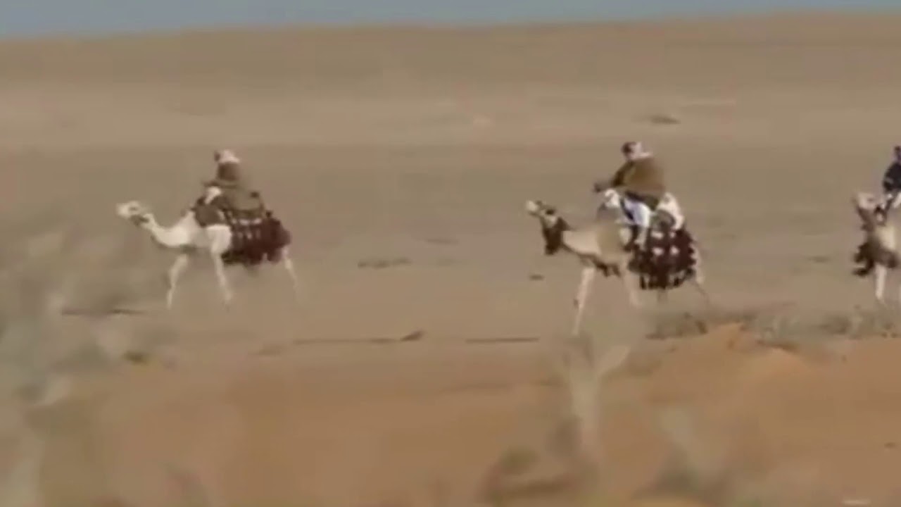 مقبل الرماحي _ من عصر ابونا ارماح