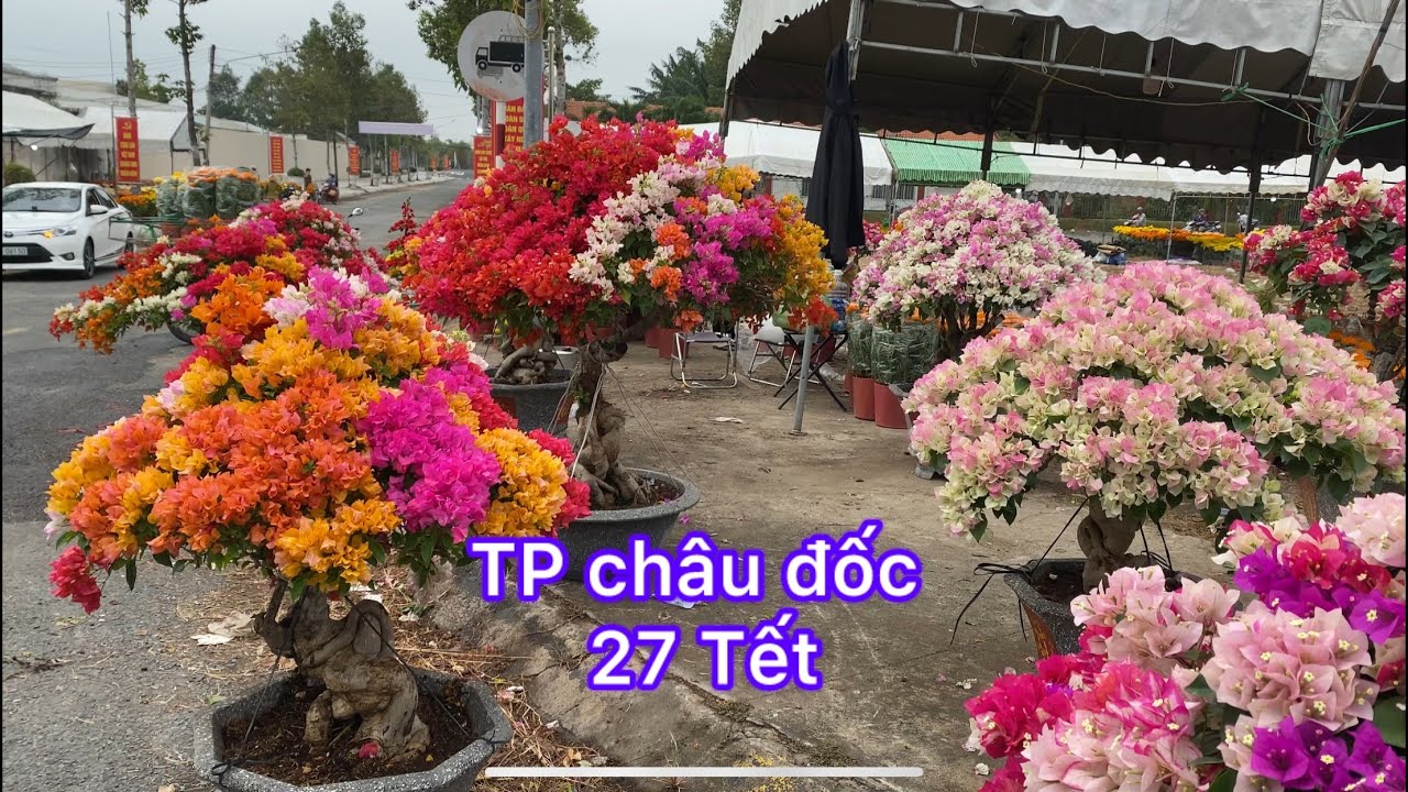 Tp châu đốc đêm 27 Tết  2026