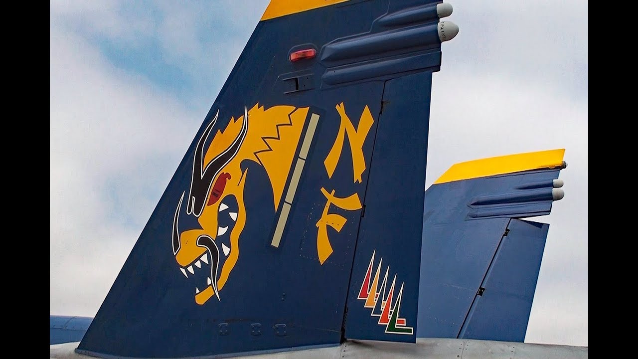 Air Wing 5 visits North Island August 2008