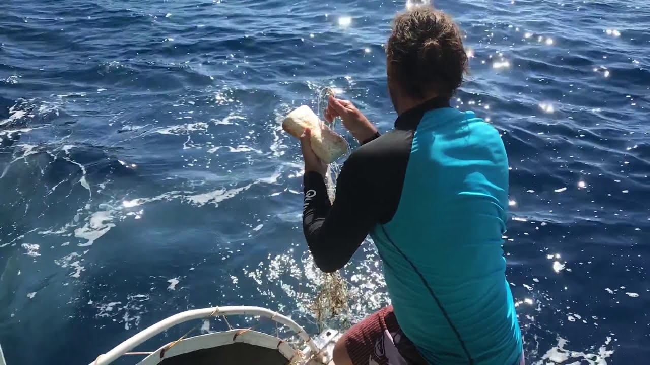 Hayalet ağlar ve denizde bırakılmış misinalar deniz canlıları için büyük bir tehlike 