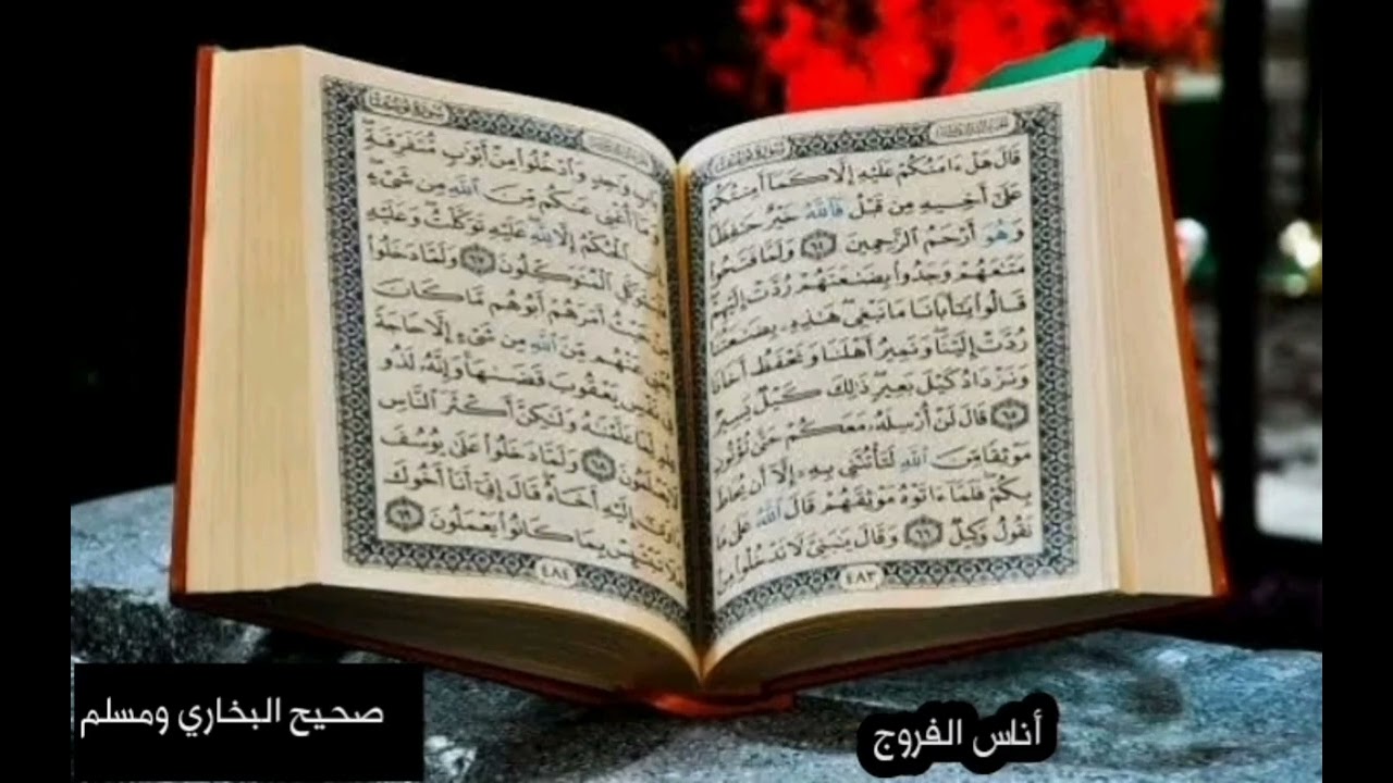 سورة الأعراف للقارئ عبد الحميد القريو 007