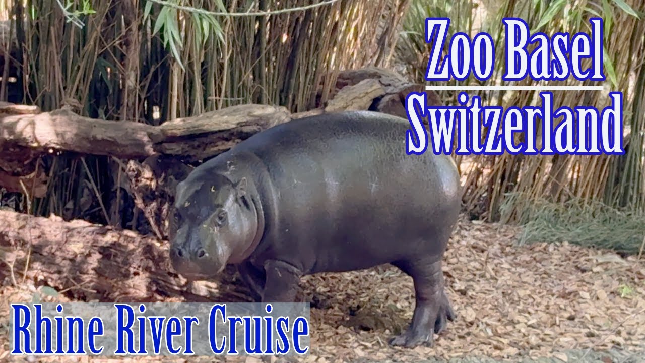 Zoo Basel, Basel Switzerland