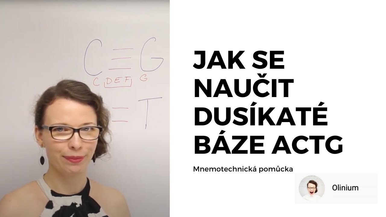 Vod&iacute;kove můstky v DNA - skvěl&aacute; vychyt&aacute;vka na zapamatov&aacute;n&iacute;