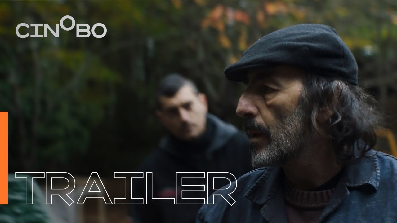 Digger Trailer | Cinobo